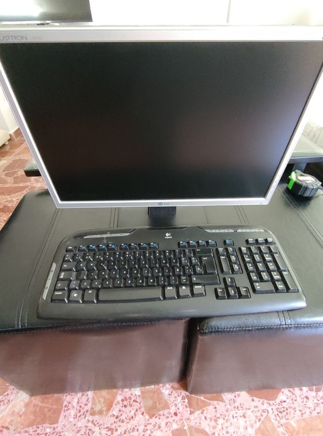 monitor ordenador LG