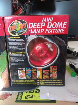 Focos terrarios reptil