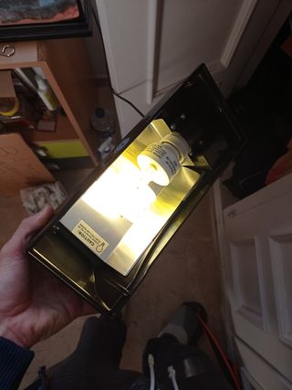 Foco superior terrario