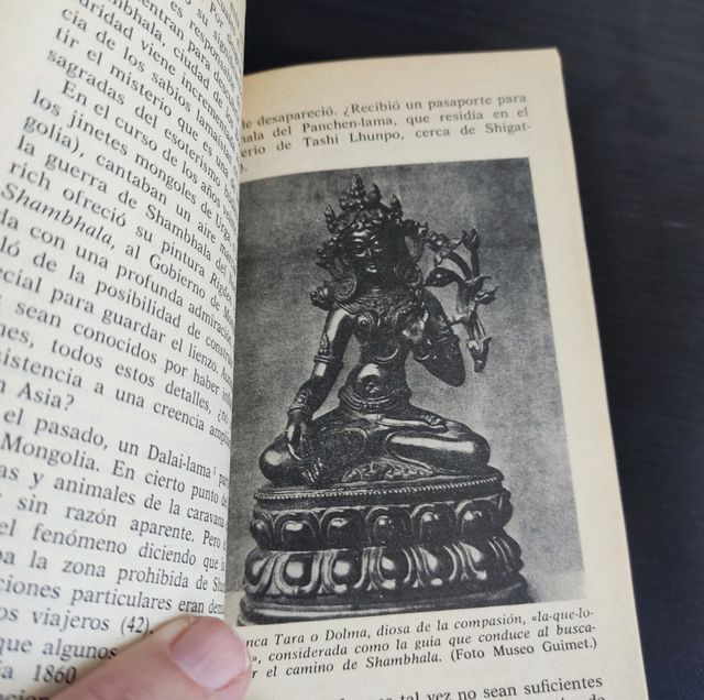 SHAMBHALA OASIS DE LUZ- Andrew Tomas