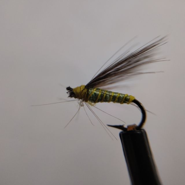 Moscas ahogadas de León cuerda con bolla