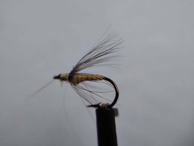 Moscas ahogadas de León cuerda con bolla