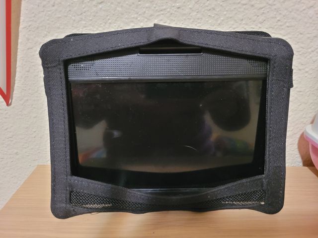 Reproductor DVD coche