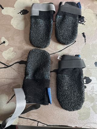 Botas de neopreno y antideslizante para perro