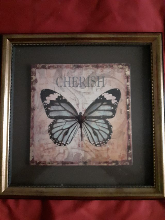 Pareja de cuadros mariposas