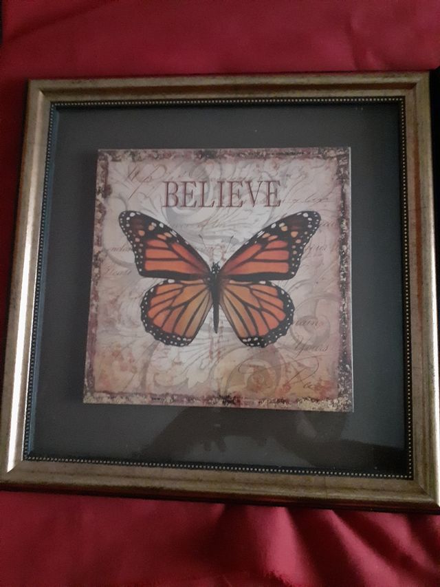 Pareja de cuadros mariposas