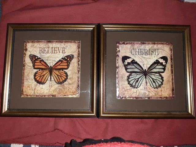 Pareja de cuadros mariposas