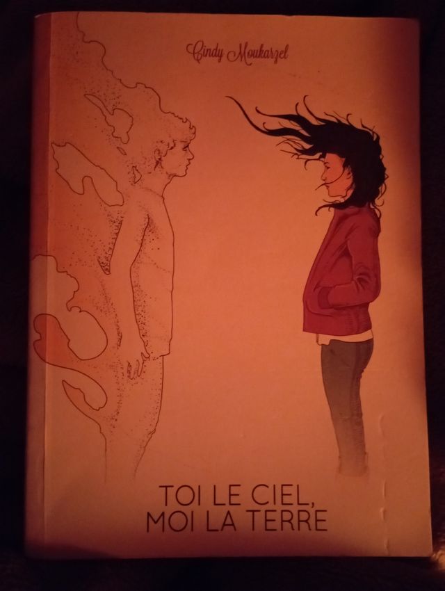 Toi le ciel moi la terre