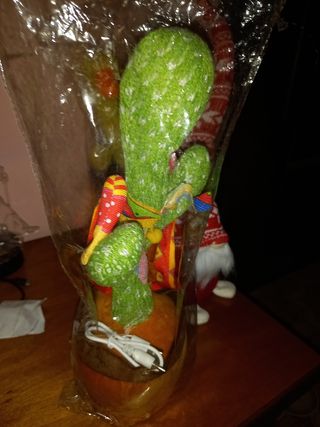 Cactus Balla,Canta e Ripete.