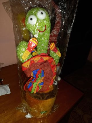 Cactus Balla,Canta e Ripete.