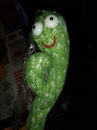 Cactus Balla,Canta e Ripete.