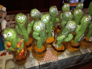 Cactus Balla,Canta e Ripete.