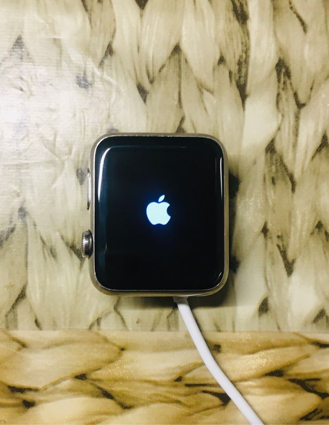 Apple Watch 42mm Acero inox (1a generación)