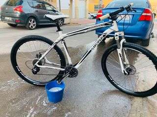 Specialized 29