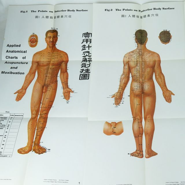 10 PÓSTERS DE MEDICINA CHINA 1960