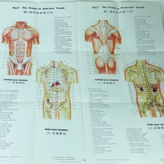 10 PÓSTERS DE MEDICINA CHINA 1960