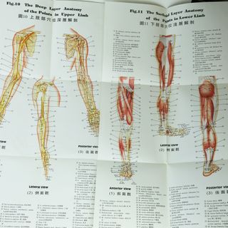10 PÓSTERS DE MEDICINA CHINA 1960