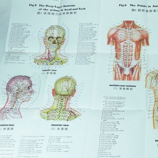 10 PÓSTERS DE MEDICINA CHINA 1960