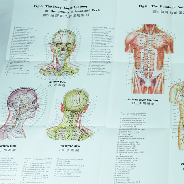 10 PÓSTERS DE MEDICINA CHINA 1960