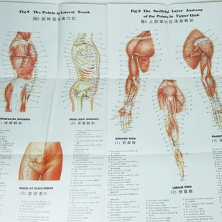 10 PÓSTERS DE MEDICINA CHINA 1960