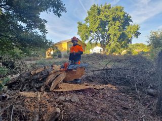 desbroces y jardineria