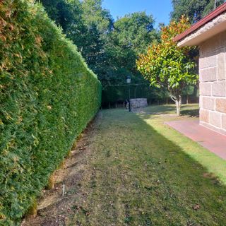 desbroces y jardineria