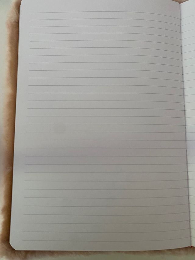 Libreta de pelo rosa