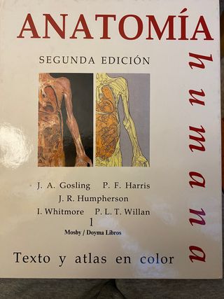 ANATOMÍA HUMANA