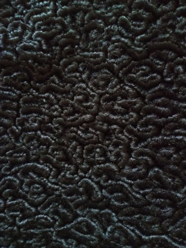 Abrigo mujer piel Astracan color negro (talla M)