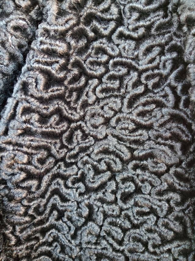 Abrigo mujer piel Astracan color negro (talla M)