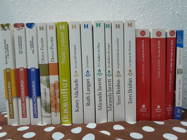 Lote 16 novelas románticas