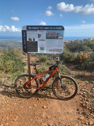 Orbea mx 