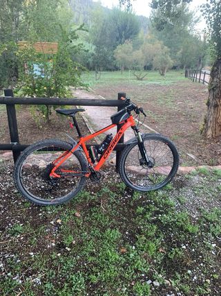 Orbea mx 