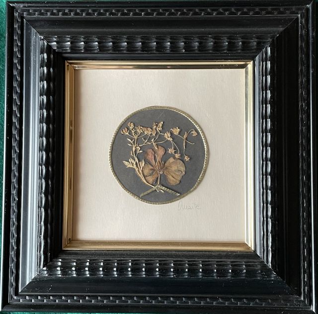  Cuadros de flores secas naturales.