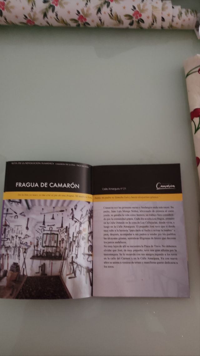 Ruta de la revolución flamenca Camarón y Paco