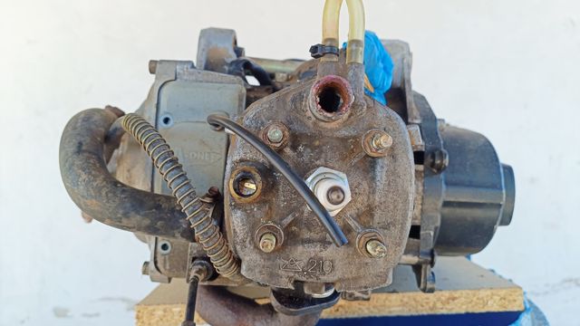 Motor 49cc quad Shark pro