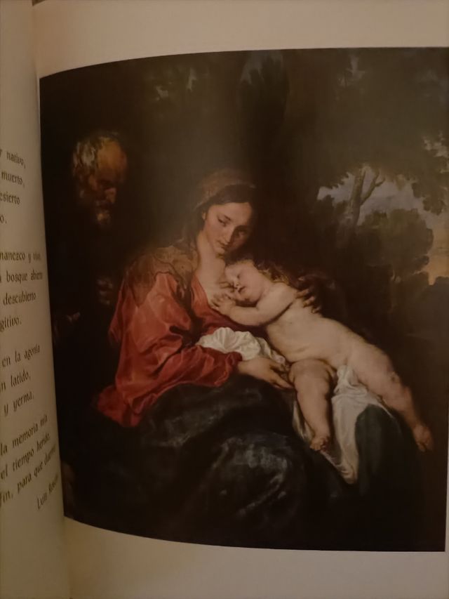 El libro de la virgen
