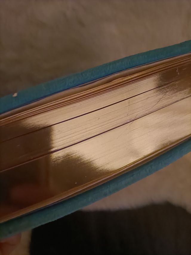 El libro de la virgen