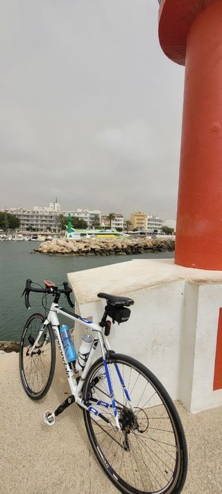 Cannondale caad 8