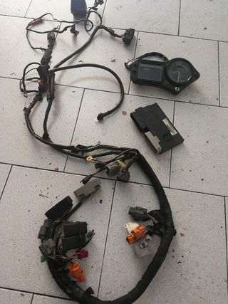 Honda hrc cbr 600 f4i 