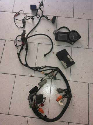 Honda hrc cbr 600 f4i 