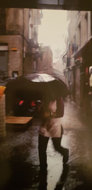 libro El mercado de la Boqueria