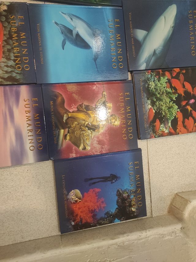 LIBROS EL MUNDO SUBMARINO