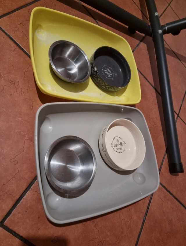 ciotole animali cani gatti