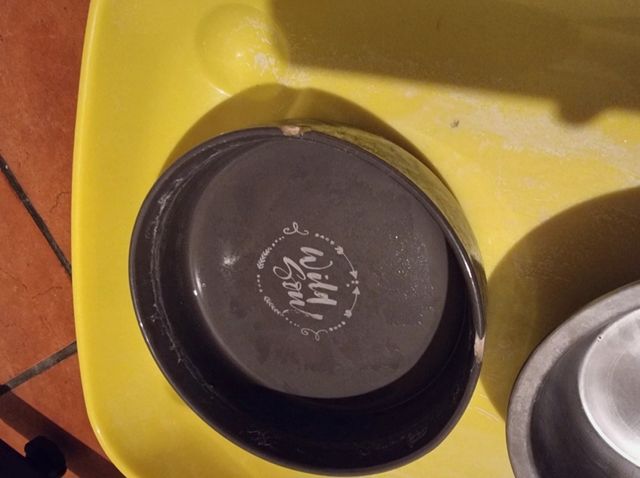 ciotole animali cani gatti