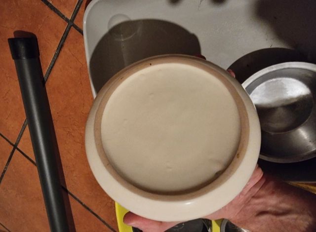 ciotole animali cani gatti