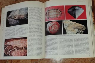 Enciclopedia Temática del Planeta , 3 Tomos