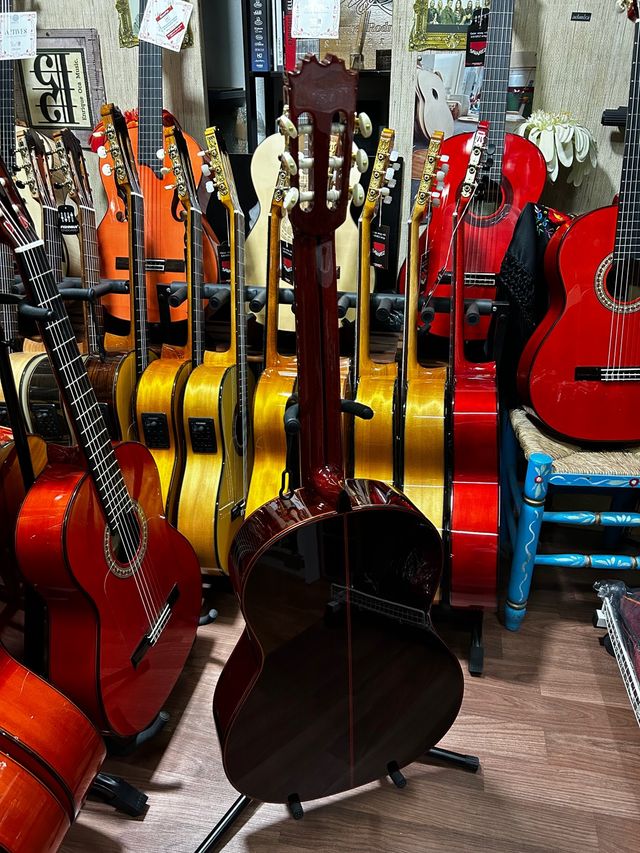 funda y guitarra flamenca Antonio Toledo palosanto