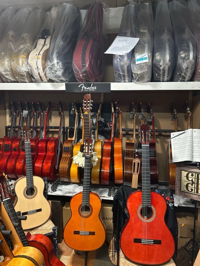 funda y guitarra flamenca Antonio Toledo palosanto