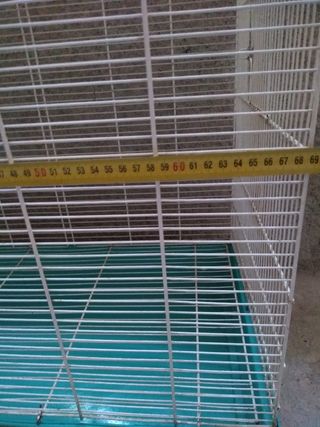 Jaula Grande pájaros